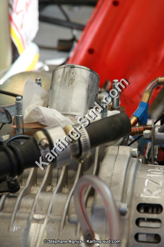 20140316-lavelanet-agnus 060.JPG